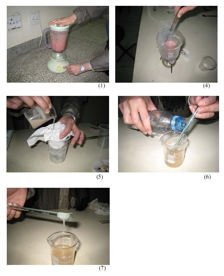  Extraction of DNA From chicken liver