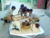 Science Experiments and Projects