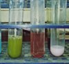 Biochemistry 