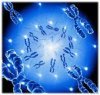 Genetic Projects