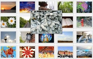 Photo Gallery