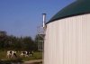 Foreign renewable energy expert says: Pakistan can make more than 2000 megawatts energy from biological waste