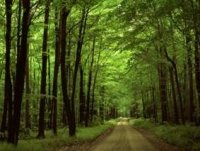 جنگلات کی حفاظت- بنی نوع انسان کی بقاء
