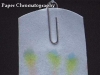 Paper chromatography Experiment