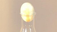 How to get an egg in a bottle