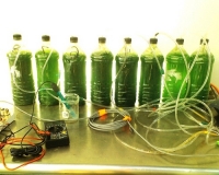Homemade Biodiesel from Algae in Urdu
