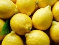 لیموں کی کاشت 