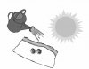 Will seeds grow faster with more water or sunlight?