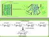 Students Project: Production of bioethanol from agriculture waste