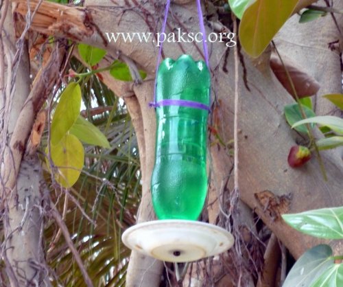DIY water Feeder for wild bird from pet bottele