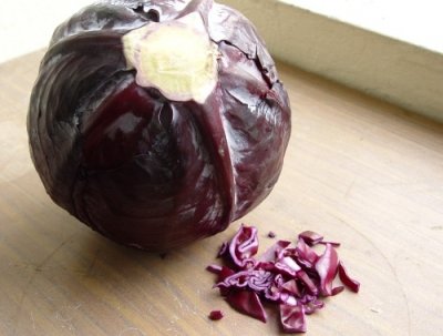 Purple cabbage pH indicator