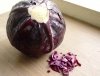 Purple cabbage pH indicator