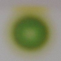 simplest  chromatography