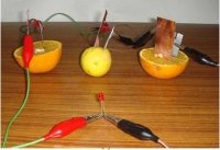 Fruit electric cell