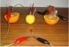 How To make Fruit Cell,