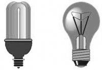 Comparing Light Bulbs Science Fair Project
