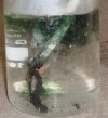 Chemistry Experiments Videos