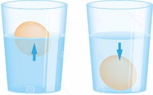 Float an egg in water(Urdu & English)
