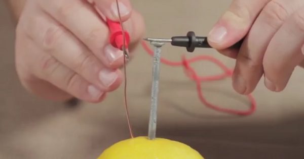 Make electricity by lemons - Do Science!