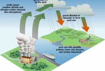 Does the acidity of the precipitation change during the year?