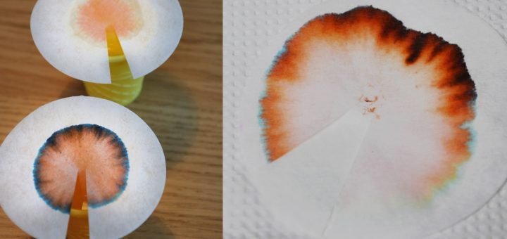 Simplest Chromatography Experiment