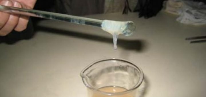 How to extract DNA From chicken liver