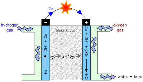 hydrogen fuel cell