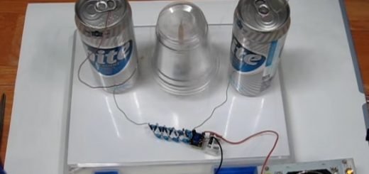 Build Simple Electrostatic Franklin's MotorBuild Simple Electrostatic Franklin's Motor