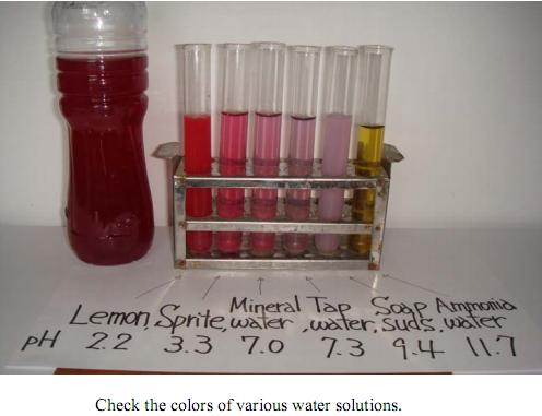 How to Make a Purple Cabbage pH Indicator