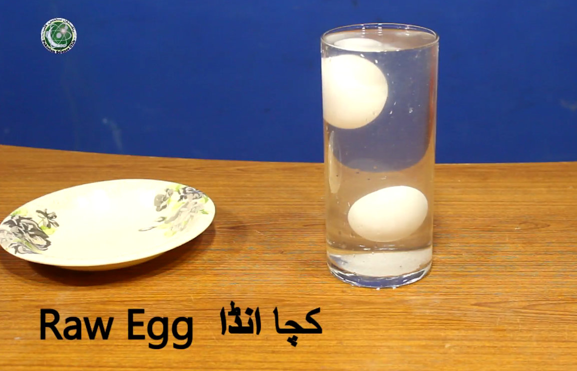 experiment meaning in urdu