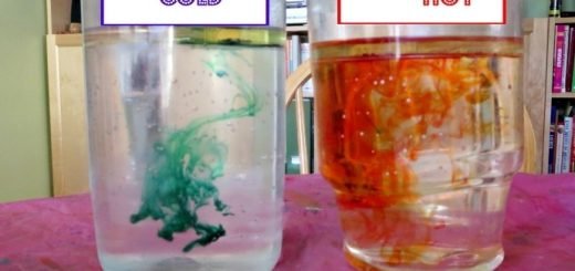 hot and cold water movement experiment