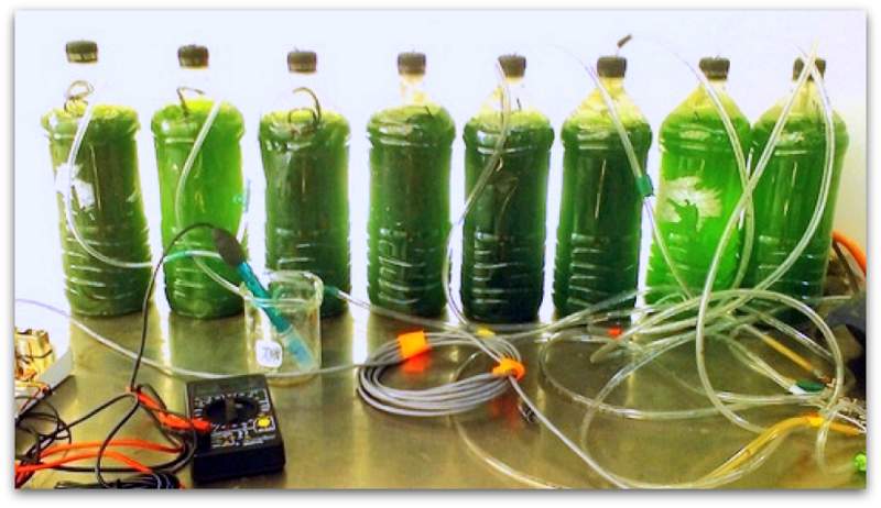 Make your own Biodiesel