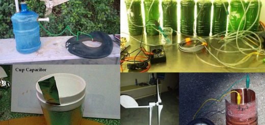 working model of science