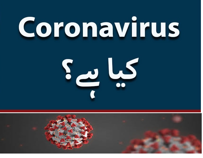 essay corona virus in urdu