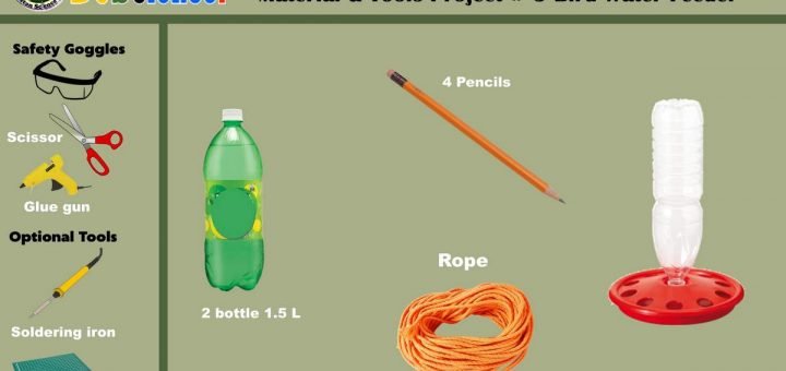 water feeder for birds