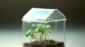 mini green house