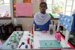 Science Exhibition organized by SMB Fatima Jinnah Govt Girls School