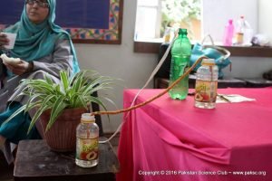 Science Exhibition organized by SMB Fatima Jinnah Govt Girls School