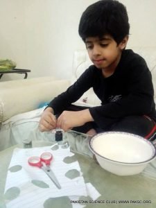 Photo Gallery Online Family Science Camp