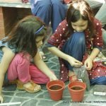 Gardening Workshop Photo Gallery