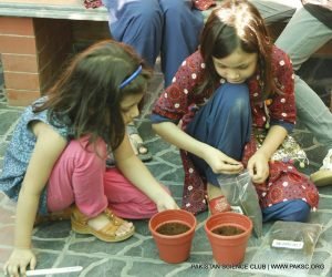 Gardening Workshop Photo Gallery