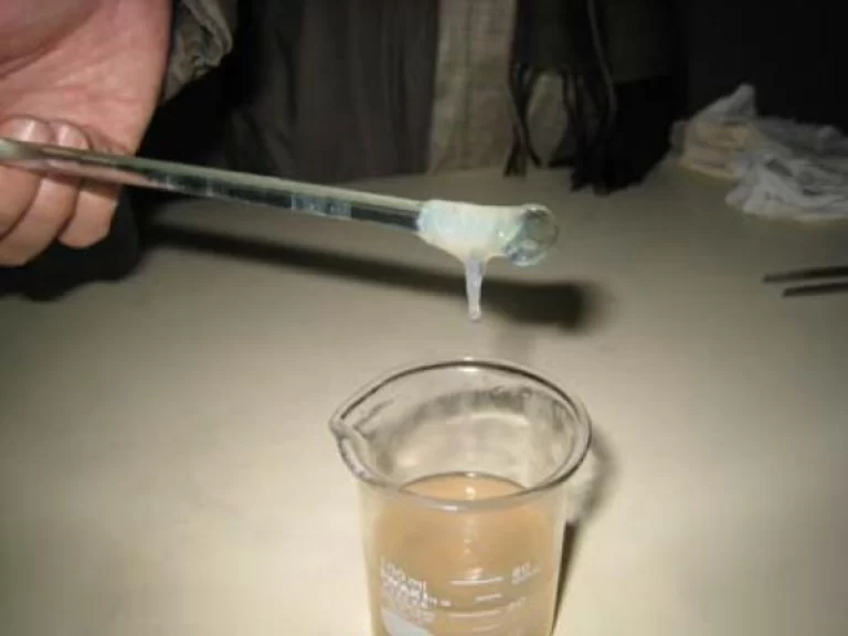 DNA extraction