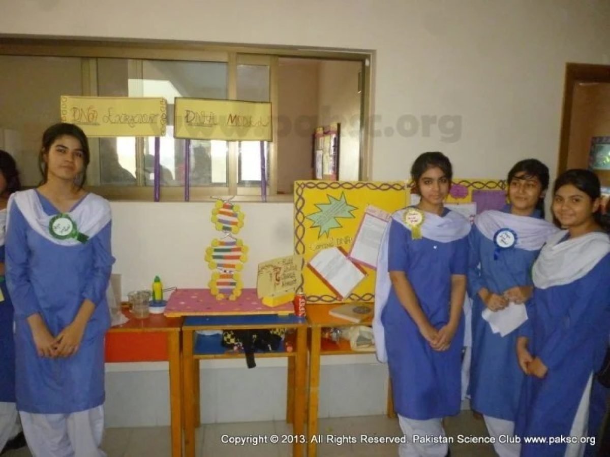 Photos of Science Fair in The Educators School