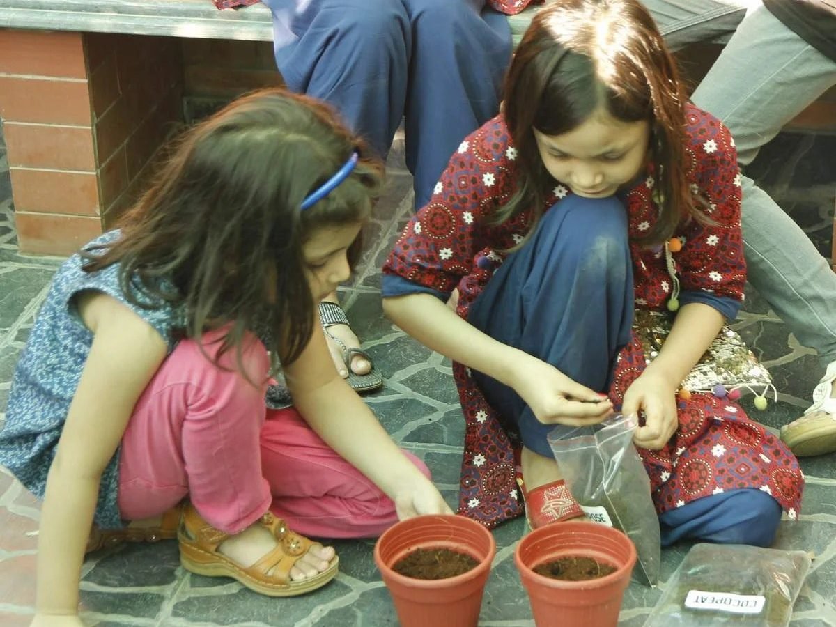 Gardening Workshop Photo Gallery