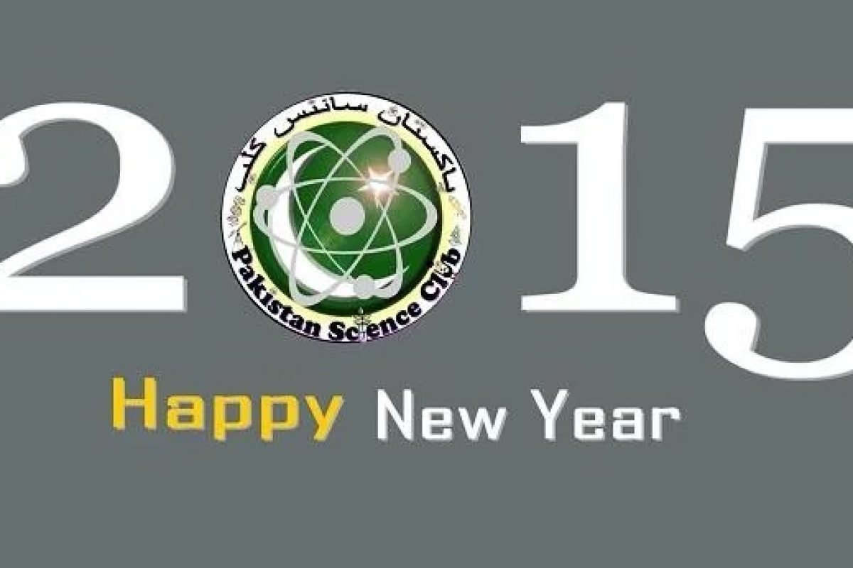 Happy New Year-2015